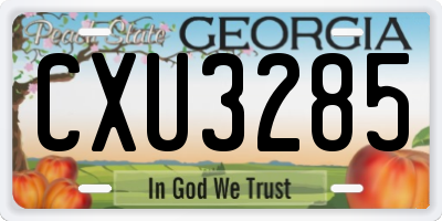 GA license plate CXU3285