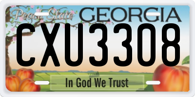 GA license plate CXU3308