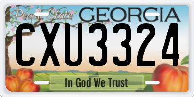 GA license plate CXU3324