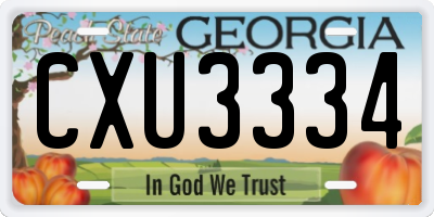 GA license plate CXU3334