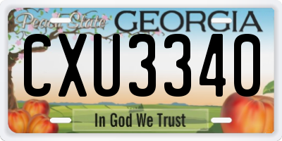 GA license plate CXU3340