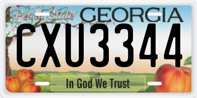 GA license plate CXU3344