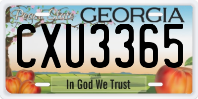 GA license plate CXU3365