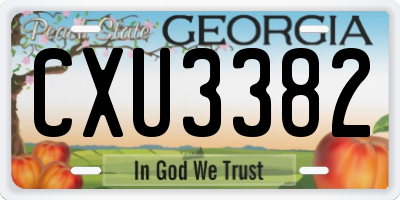 GA license plate CXU3382