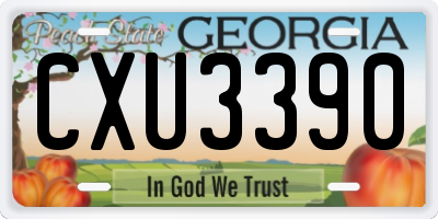 GA license plate CXU3390