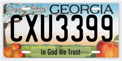 GA license plate CXU3399