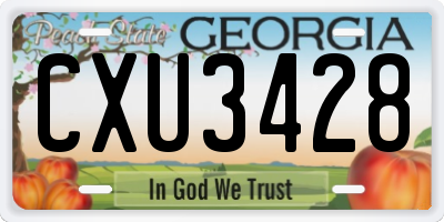 GA license plate CXU3428