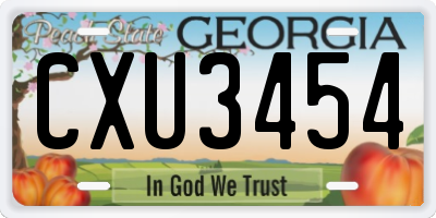 GA license plate CXU3454