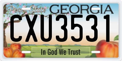 GA license plate CXU3531