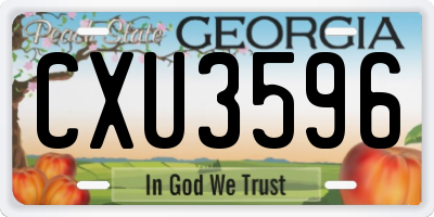 GA license plate CXU3596
