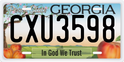 GA license plate CXU3598