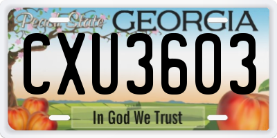 GA license plate CXU3603