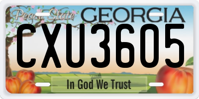 GA license plate CXU3605