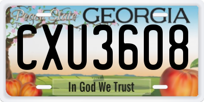 GA license plate CXU3608