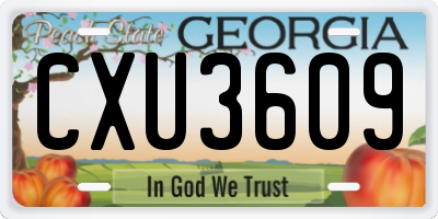 GA license plate CXU3609