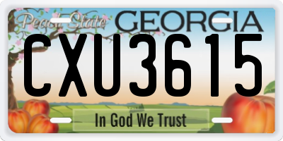 GA license plate CXU3615