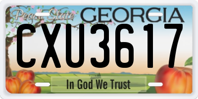 GA license plate CXU3617