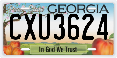 GA license plate CXU3624