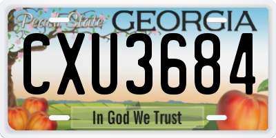 GA license plate CXU3684