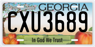 GA license plate CXU3689