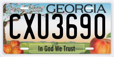 GA license plate CXU3690