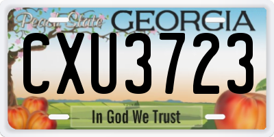GA license plate CXU3723