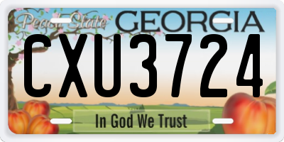 GA license plate CXU3724
