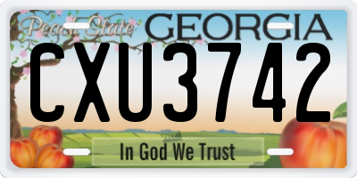 GA license plate CXU3742