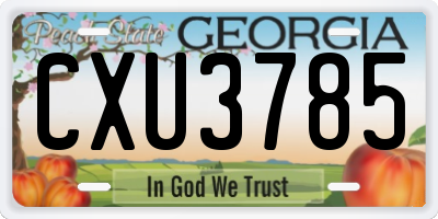 GA license plate CXU3785