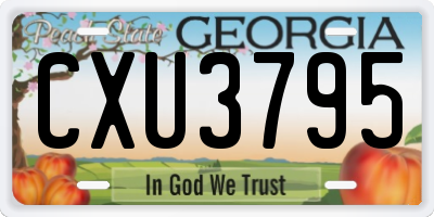 GA license plate CXU3795