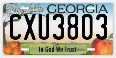 GA license plate CXU3803