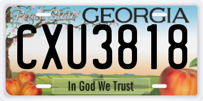 GA license plate CXU3818