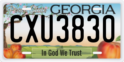 GA license plate CXU3830