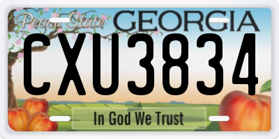 GA license plate CXU3834