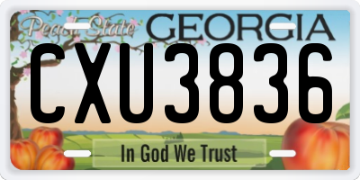 GA license plate CXU3836