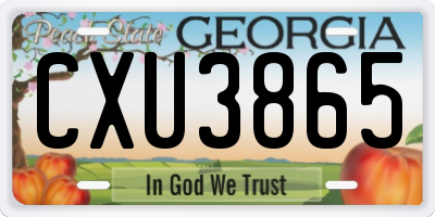 GA license plate CXU3865