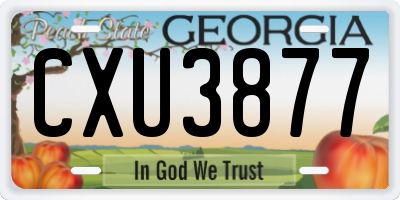 GA license plate CXU3877