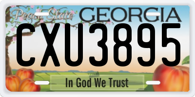 GA license plate CXU3895