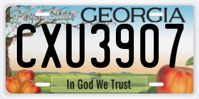 GA license plate CXU3907