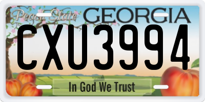 GA license plate CXU3994