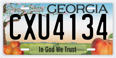 GA license plate CXU4134