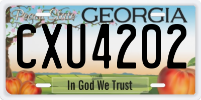 GA license plate CXU4202
