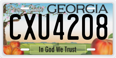 GA license plate CXU4208