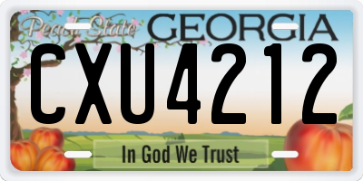 GA license plate CXU4212