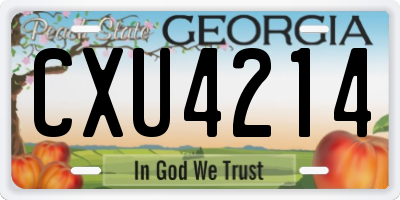 GA license plate CXU4214
