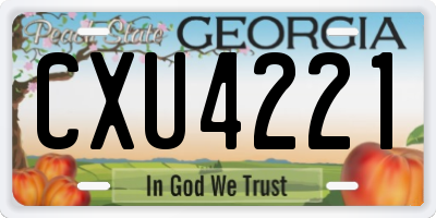 GA license plate CXU4221