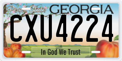 GA license plate CXU4224