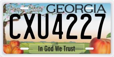 GA license plate CXU4227