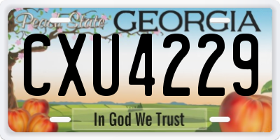 GA license plate CXU4229