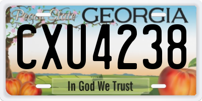 GA license plate CXU4238